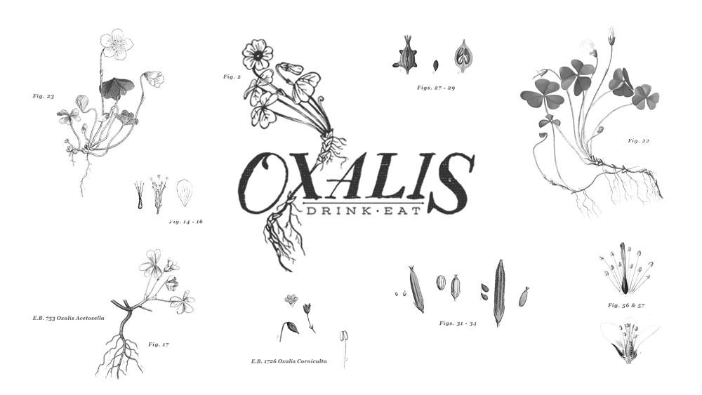 oxaliss tailoring & designing